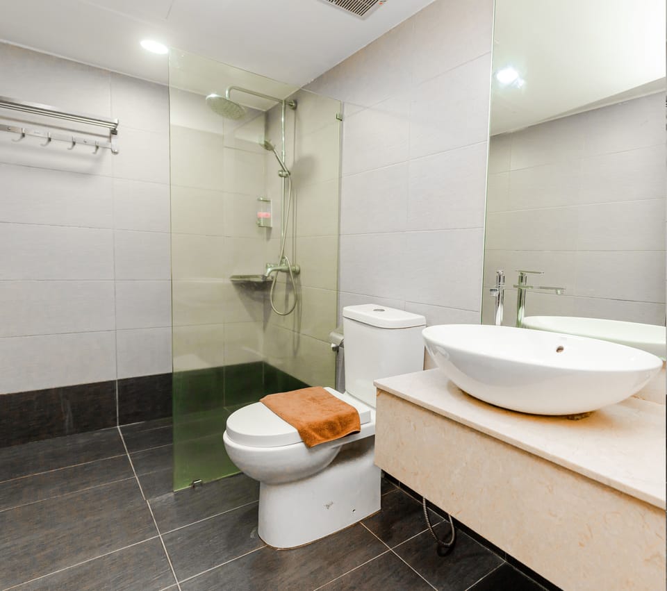 Combined shower/tub, rainfall showerhead, hair dryer, bidet