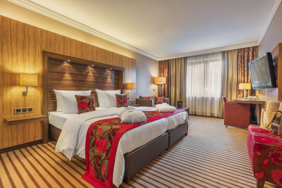 Deluxe Double Room | Hypo-allergenic bedding, free minibar items, in-room safe