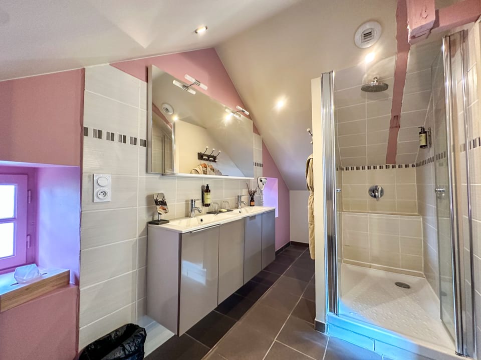 Suite | Bathroom | Free toiletries, hair dryer, bathrobes, towels