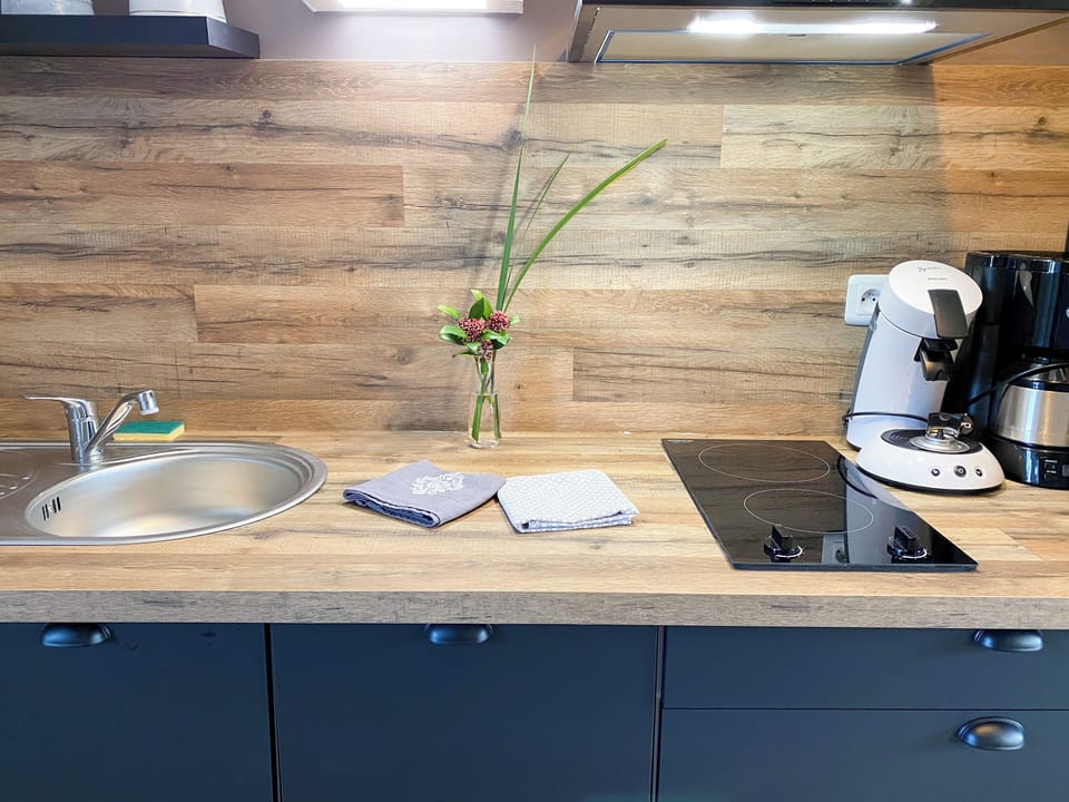 Apartment, 1 Bedroom | Private kitchen | Fridge, microwave, stovetop, dishwasher