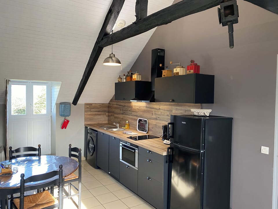 Apartment, 1 Bedroom | Private kitchen | Fridge, microwave, stovetop, dishwasher