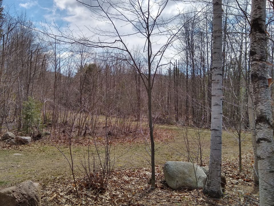 Access from our back yard to Whittaker Woods Trails.