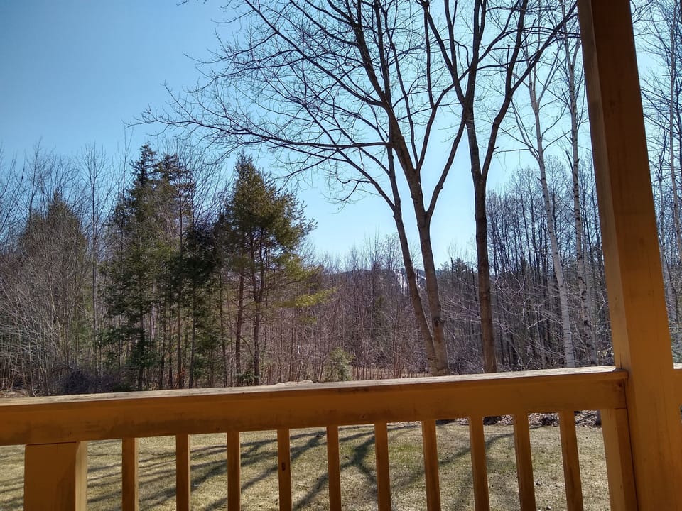 View from the deck.