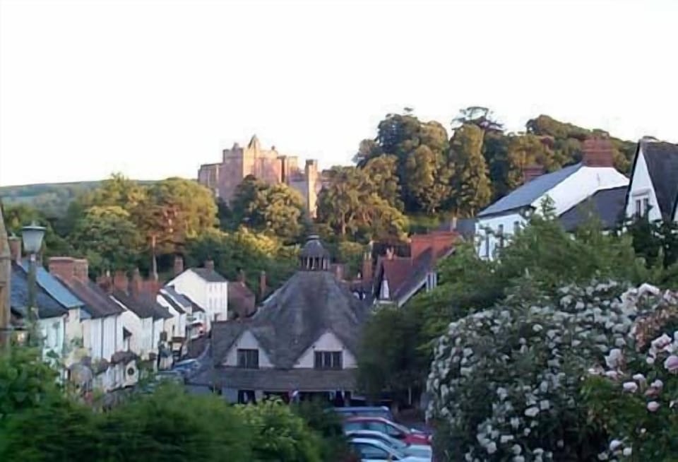 Image 12