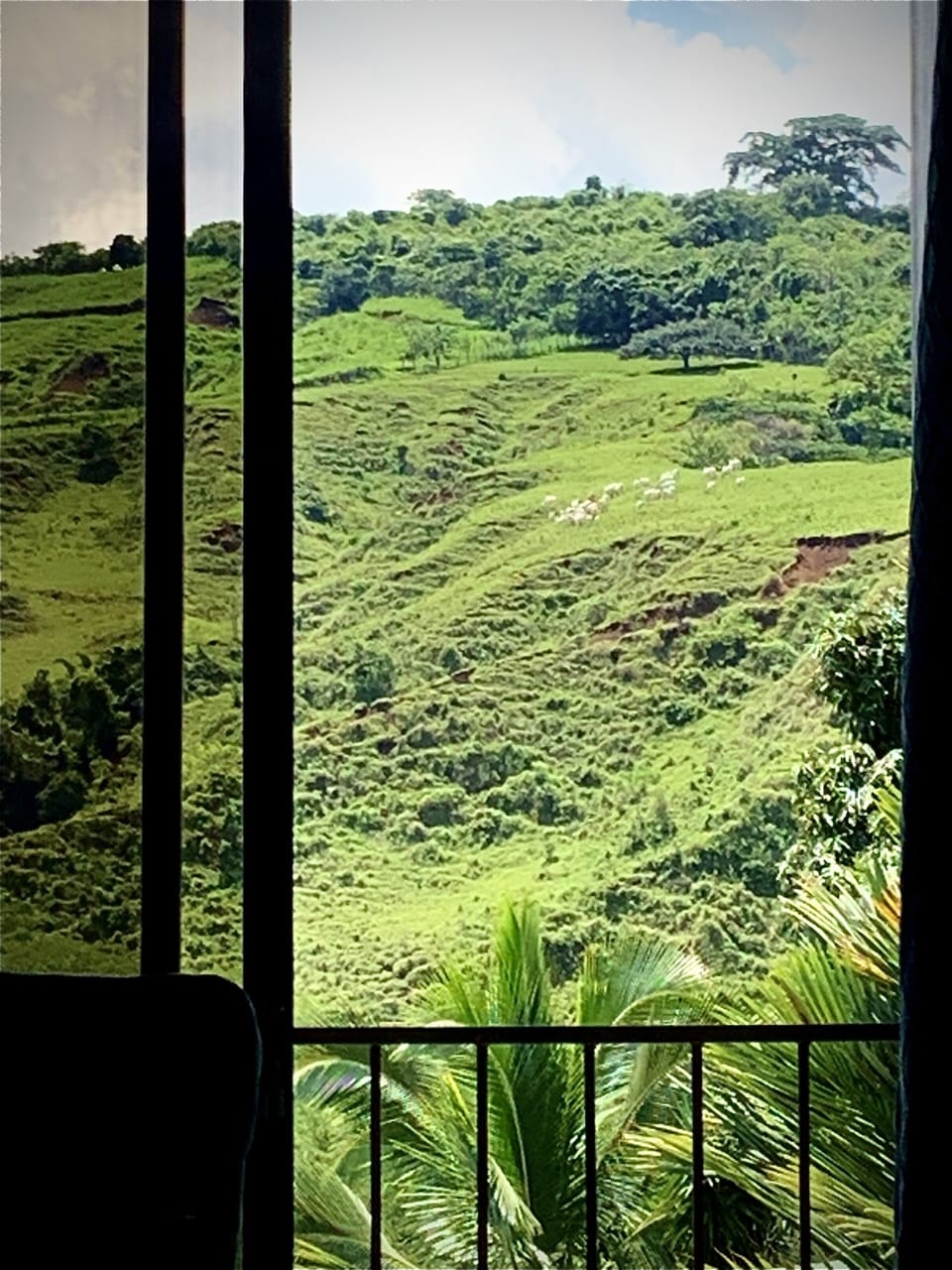 View from terrace
