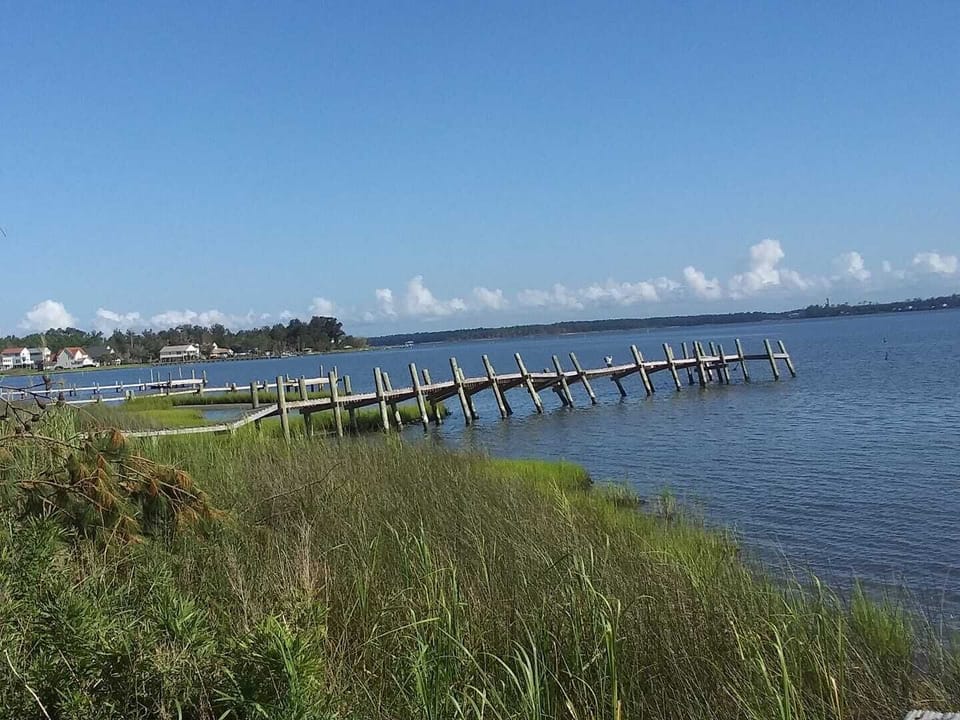 View from backyard of property