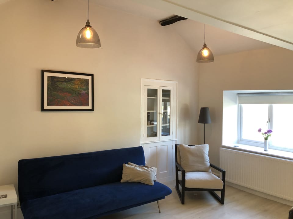 Sitting room, featuring sofabed, TV, seating and dining area