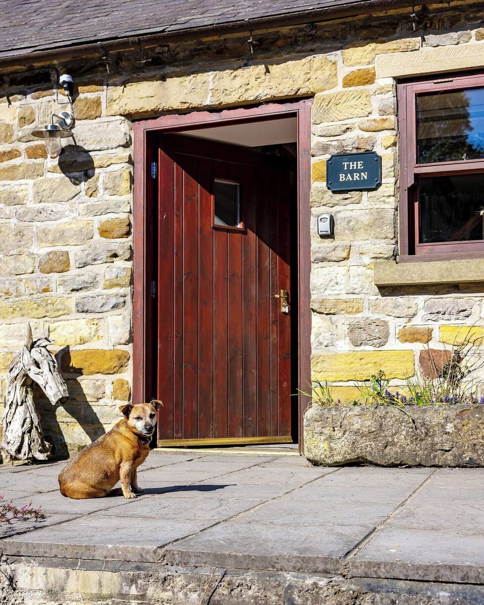 Dog friendly.