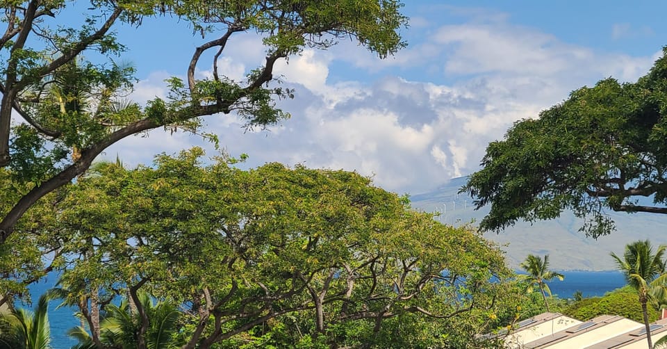 View from the Lanai