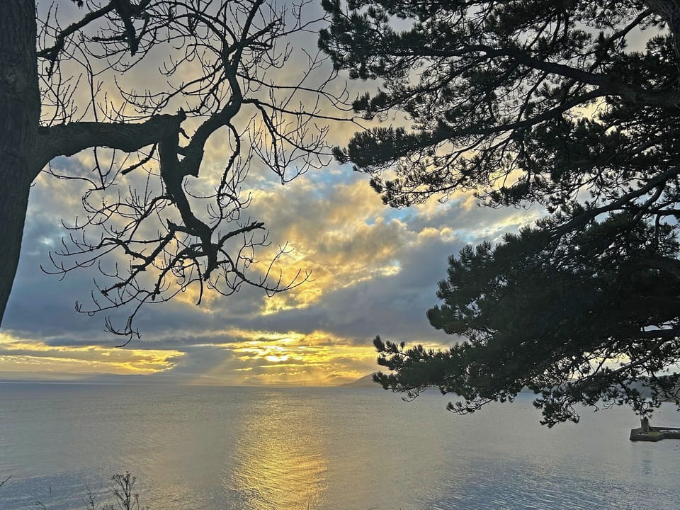 View over the sea | The Shore, Fortrose