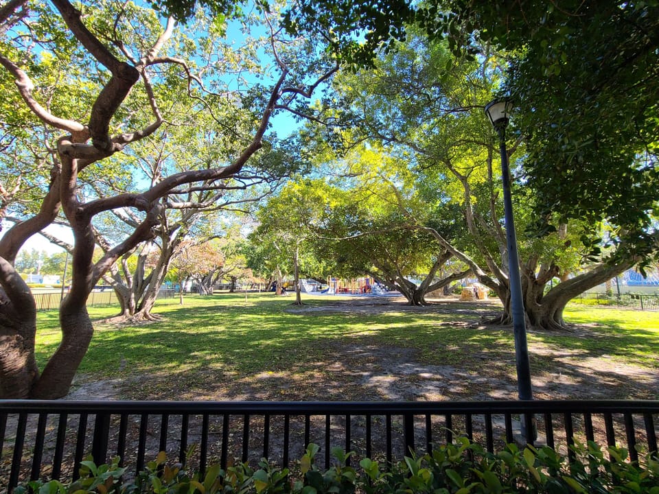 Flamingo Park