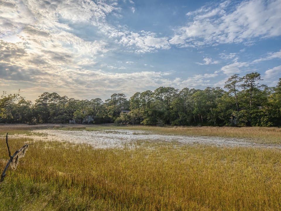 Beautiful tidal marsh awaits.