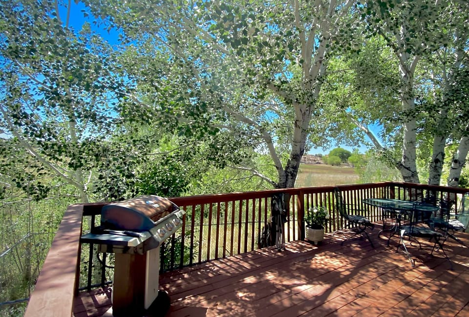 Grill On Porch 
