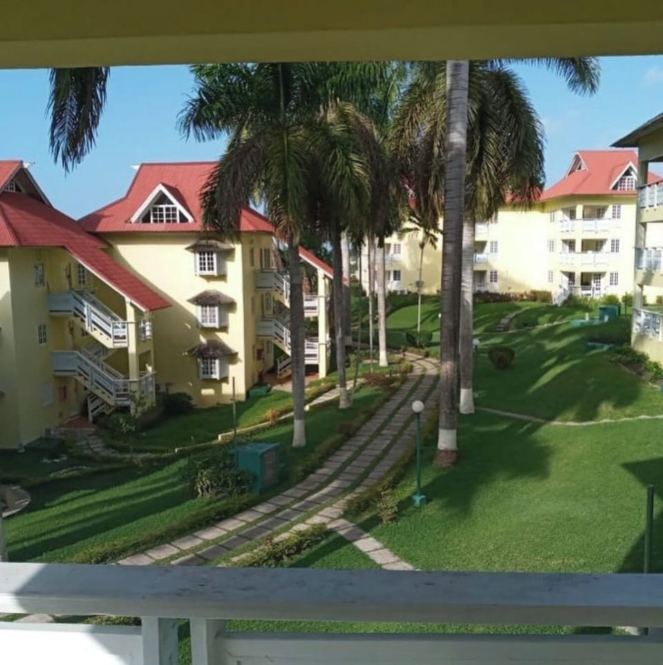 Garden view from balcony 