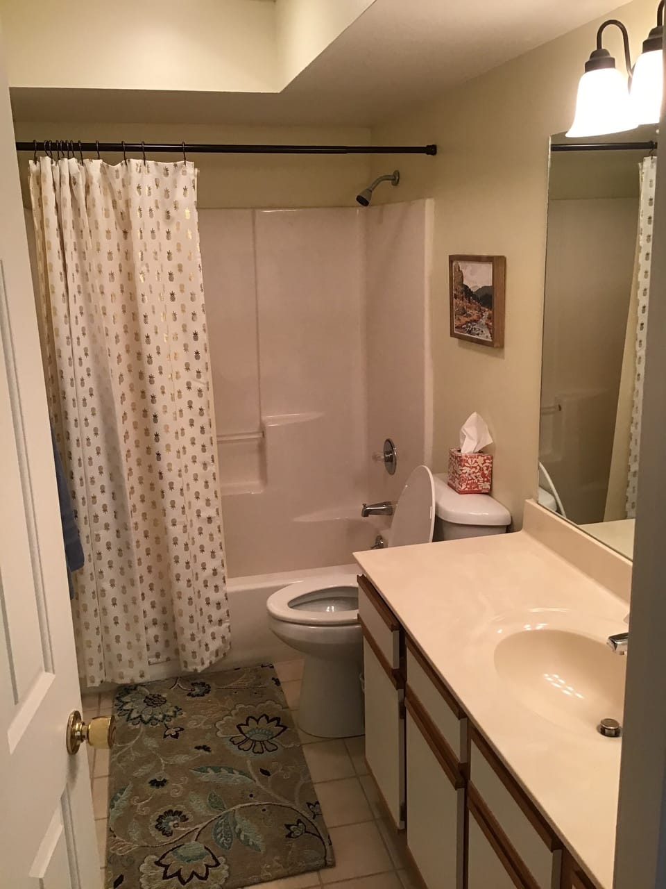 Guest bathroom