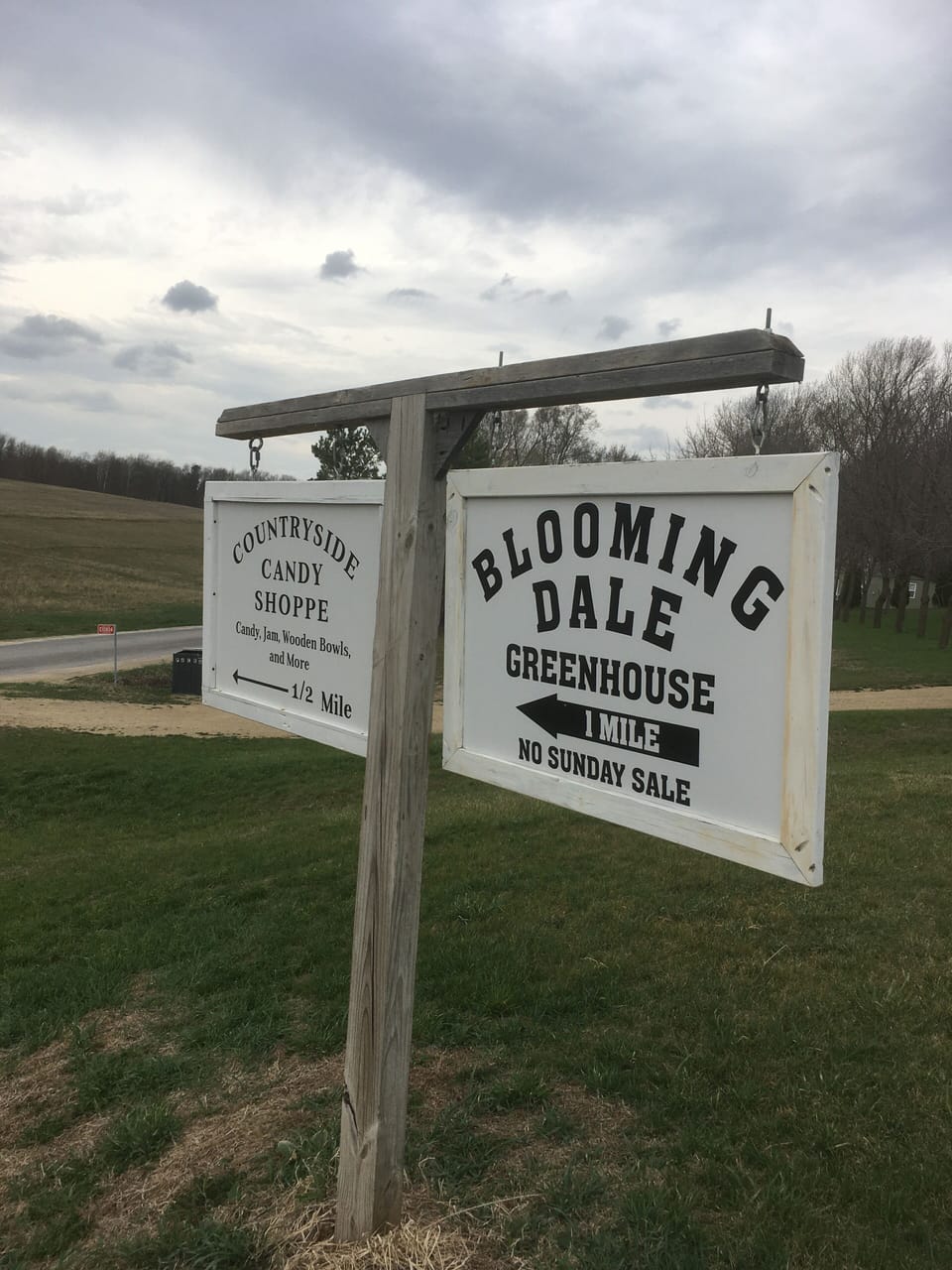 Many Amish shops-bent hickory furniture, bakeries, quilt & rugs, produce