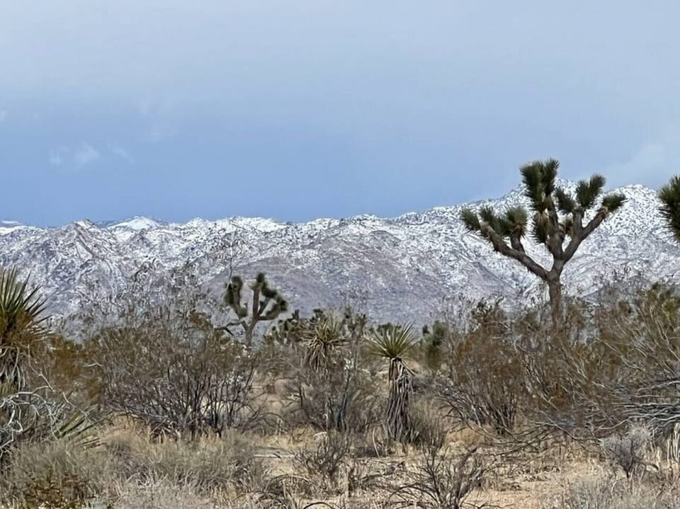 View from backyard. Taken on Feb 23 2022.