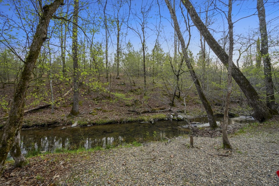 This picturesque creek adds a touch of magic to the property, perfect for reflection and relaxation.