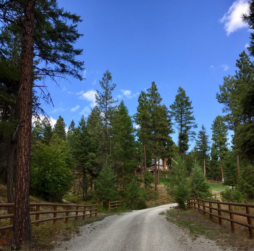 Private Gated entrance to the TreeHouse Cabin