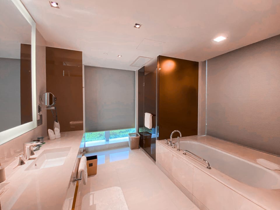 Basic Suite | Bathroom | Rainfall showerhead, hair dryer, slippers, towels