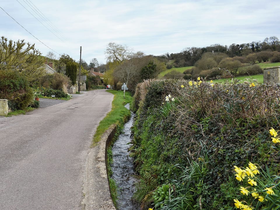 Surrounding area | The Little House, Axmouth