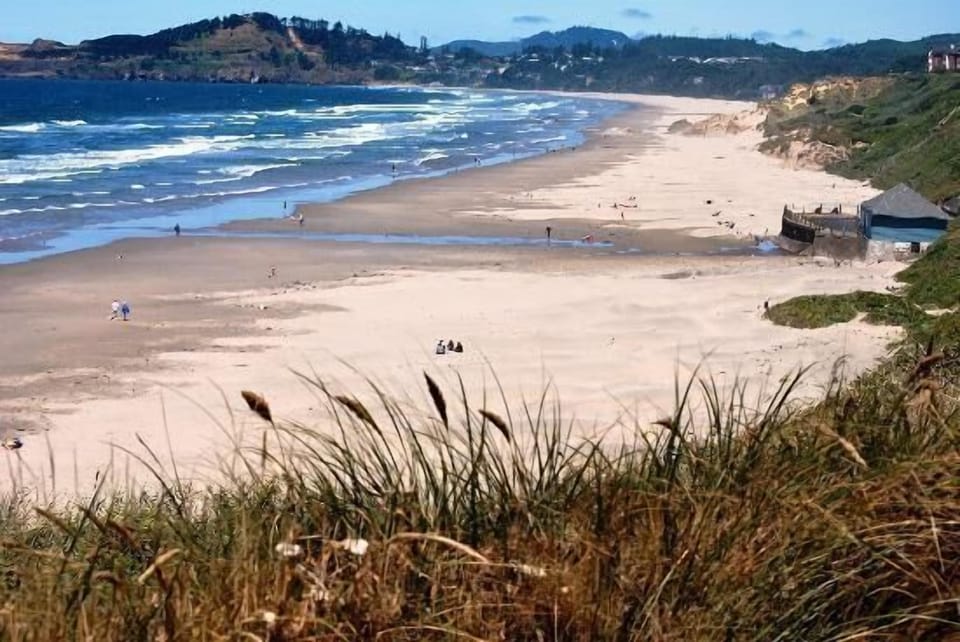 Explore the sandy Nye Beach and it's neighborhood!