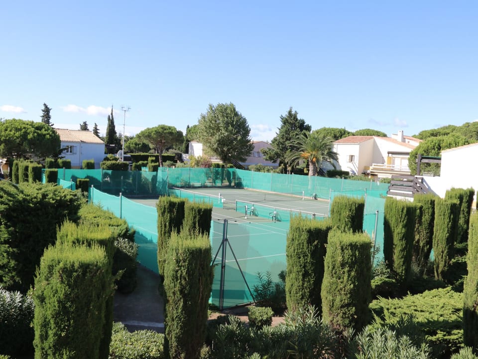 Sport court