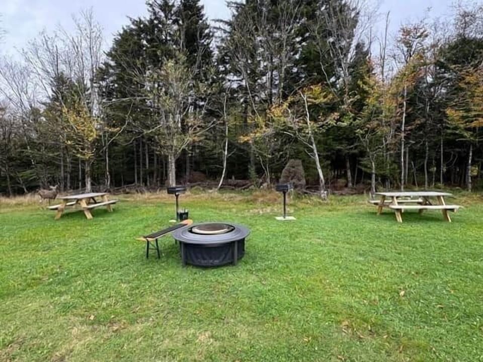 Elevation Vacation Rentals - RDG Picnic Area