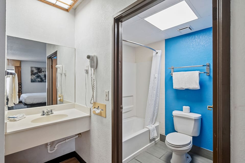 Room, 1 King Bed, Non Smoking | Bathroom | Separate tub and shower, eco-friendly toiletries, towels