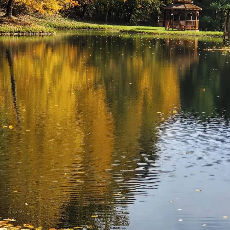 Autumn colors reflected in the on-site pond.