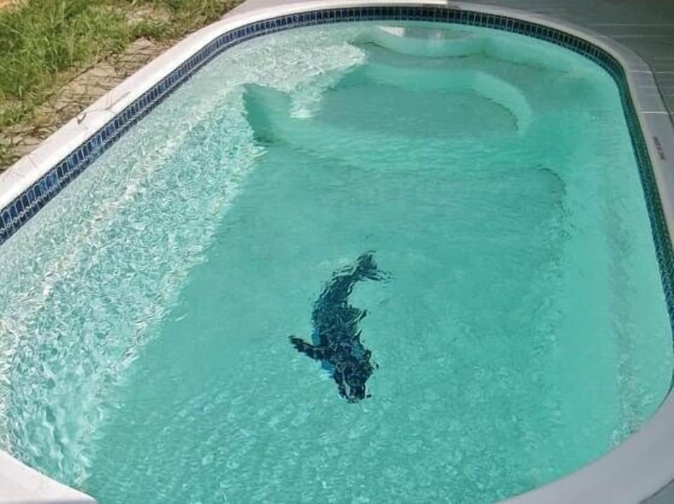 Private Pool