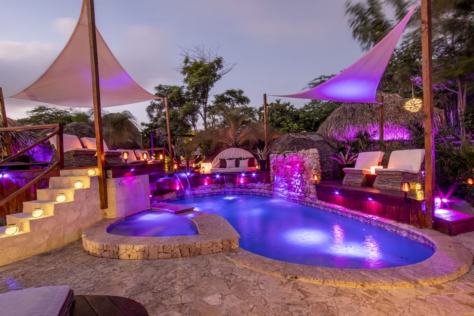 Resort style pool with 4 waterfalls, seating for 10, outdoor jacuzzi(not heated)