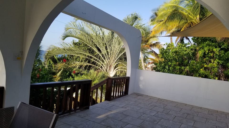 stairs to the deck and house, with triangle palm tree in background 