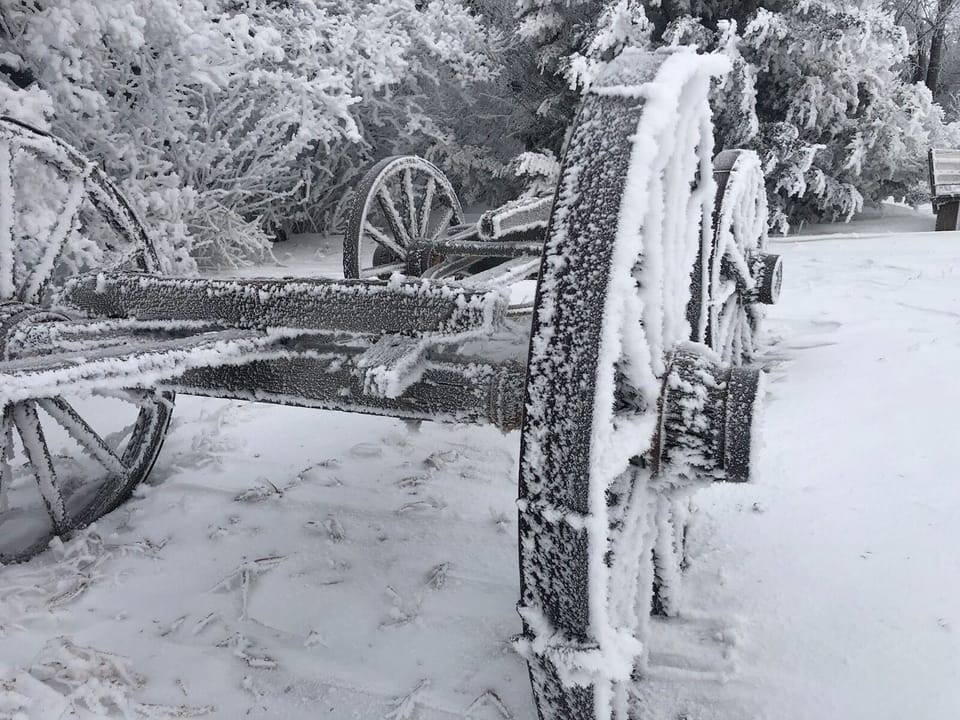 Frost in the winter months is a beautiful phenomenon. 