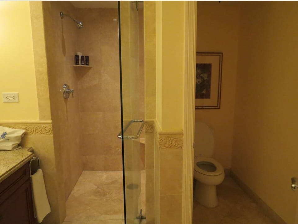 Luxury Suite, Balcony, Ocean View | Bathroom | Separate tub and shower, deep soaking tub, free toiletries, hair dryer