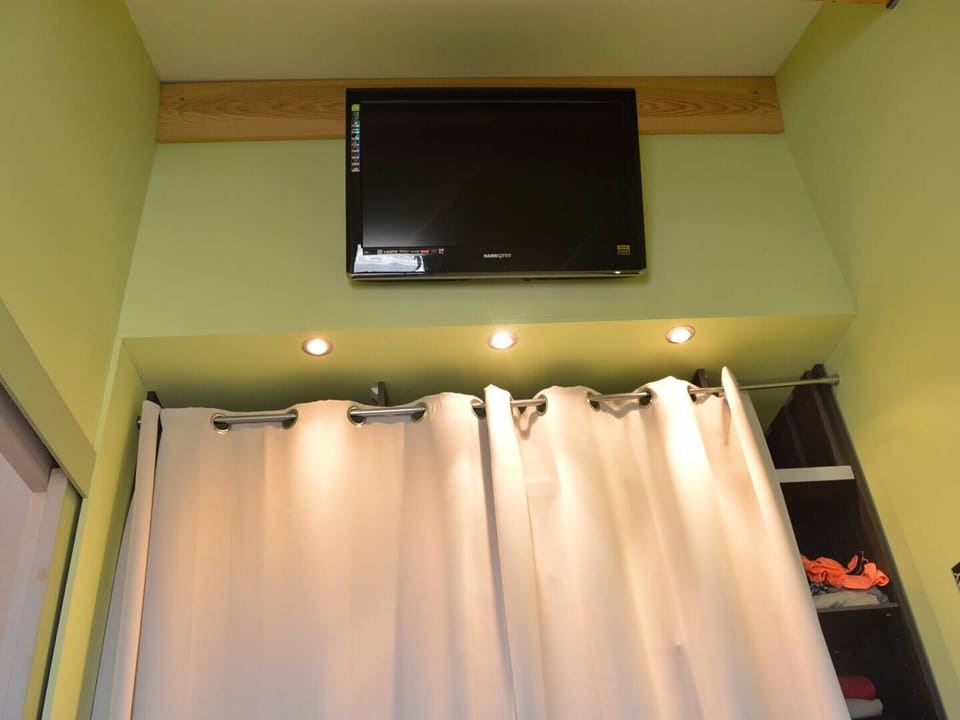 Television