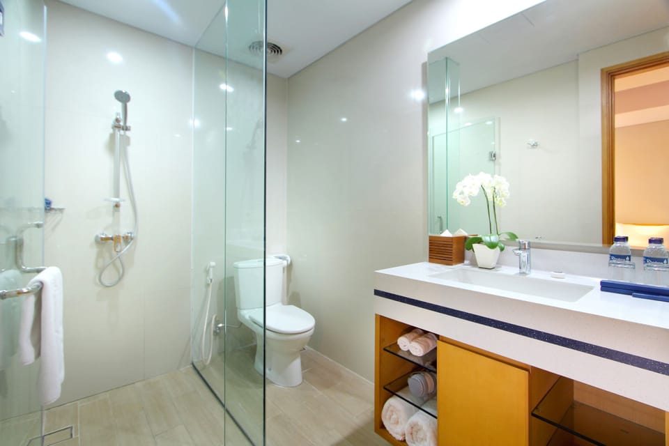 Shower, hair dryer, slippers, bidet