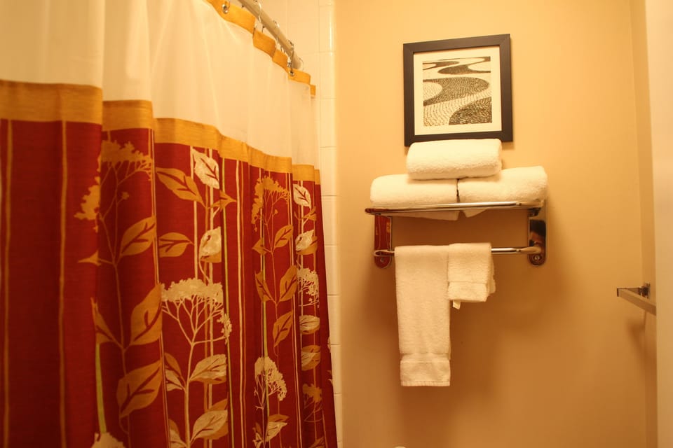 Combined shower/tub, deep soaking tub, free toiletries, hair dryer