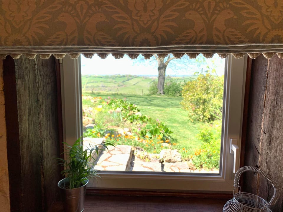 View to garden