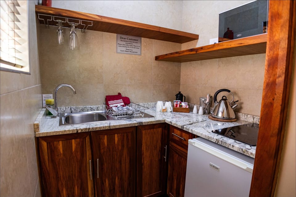 Apartment, Kitchen | Private kitchenette | Coffee/tea maker, fridge, microwave, toaster