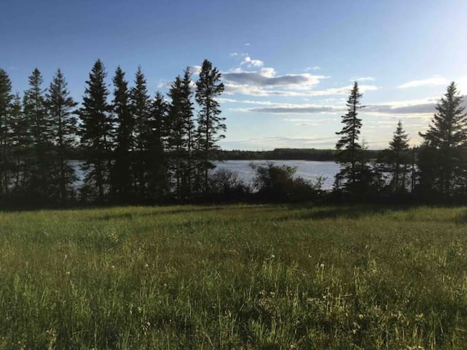 View from back yard.