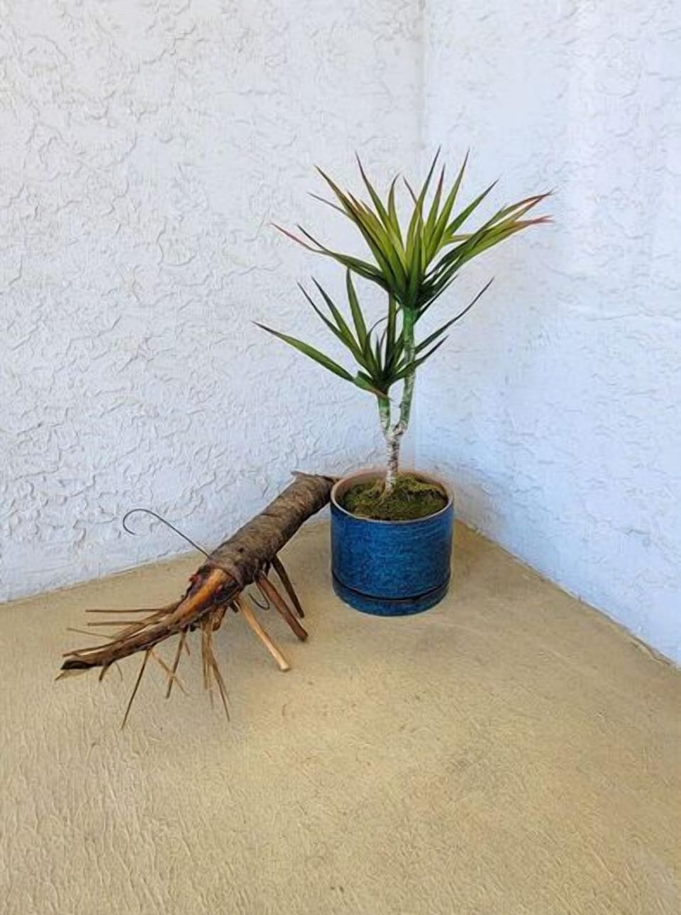Decorative plant and wooden Shrimp on 2nd Bedroom's balcony