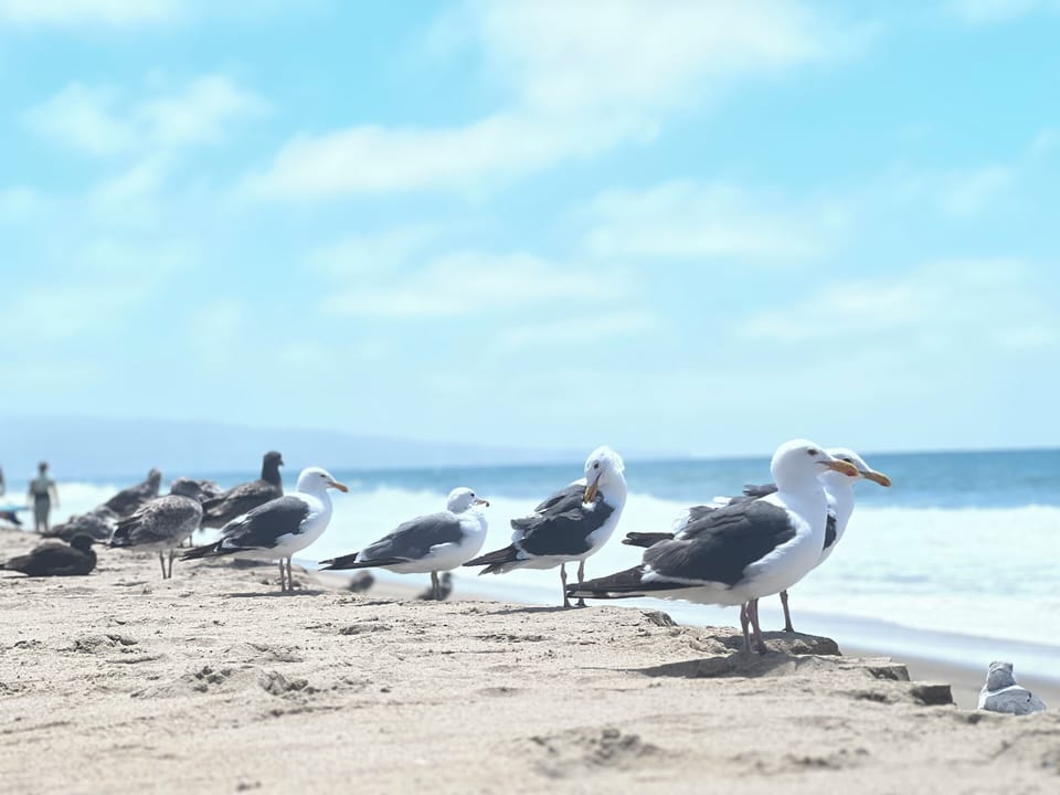 Beach