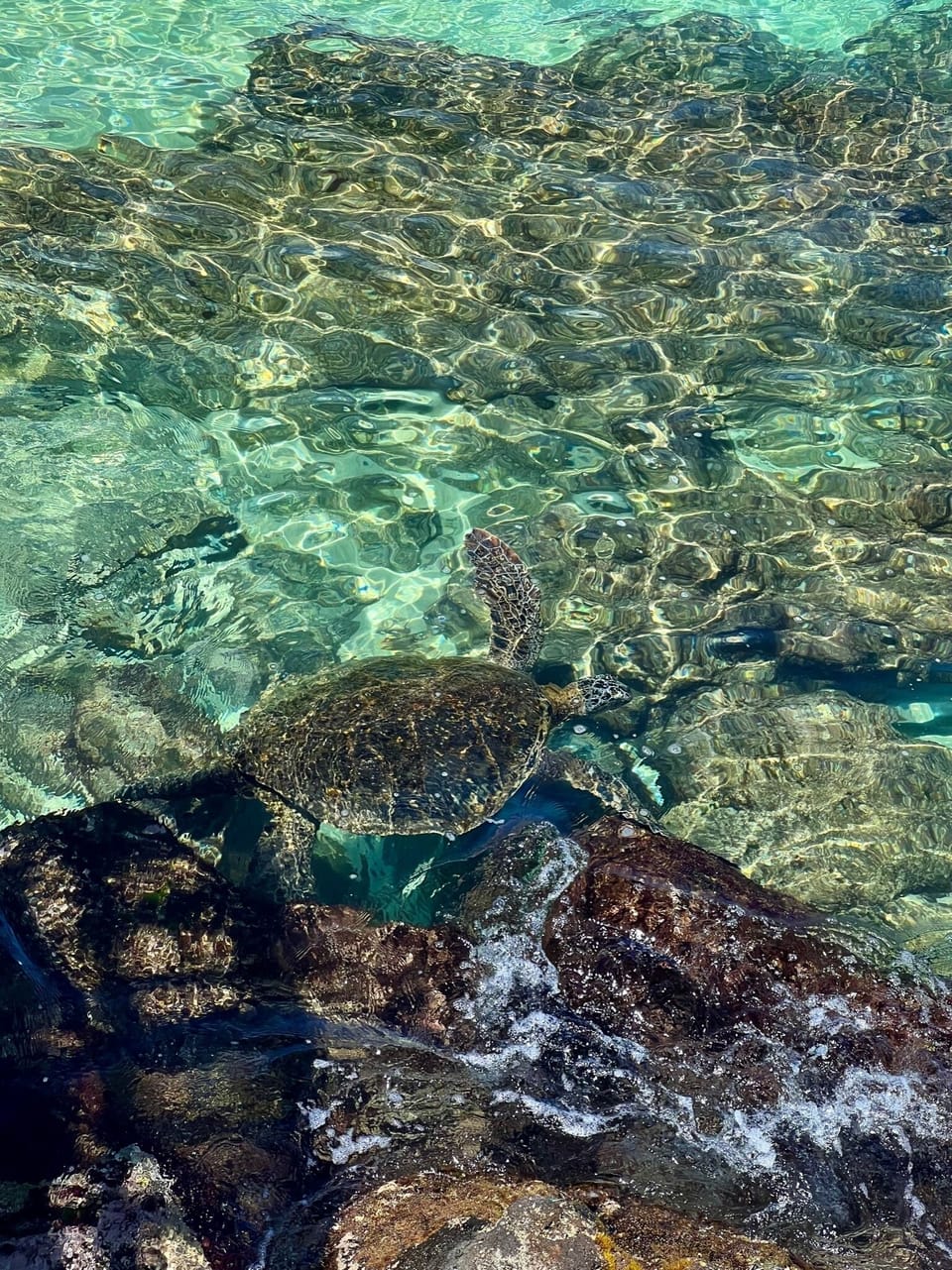 Condo, 2 Bedrooms | Beach | On the beach