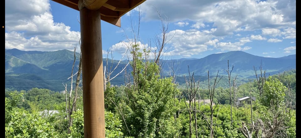 VIEWS, VIEWS, AND MORE VIEWS