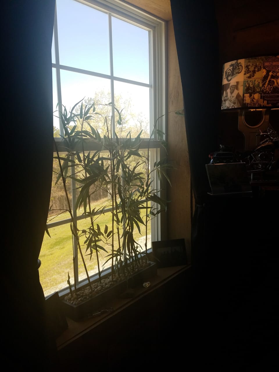 Window looking out back
