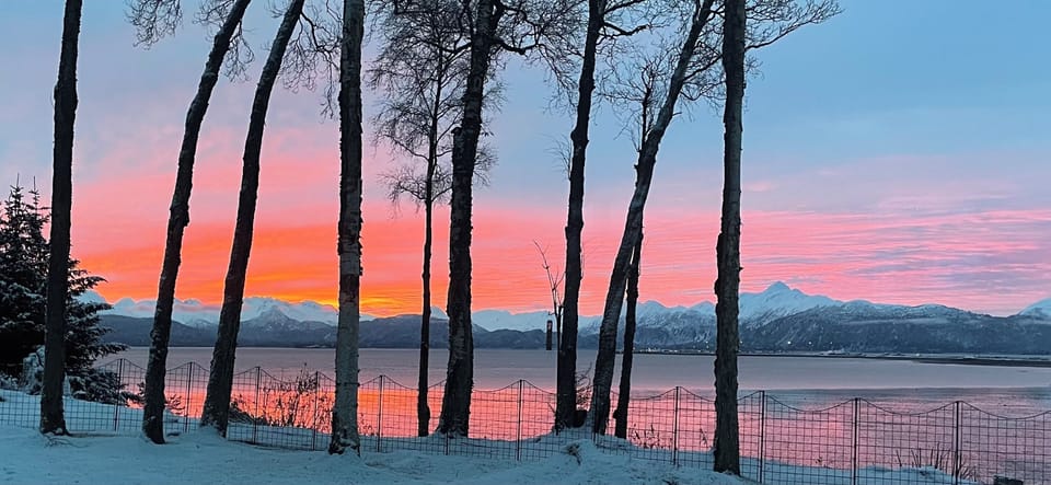 January sunrise
