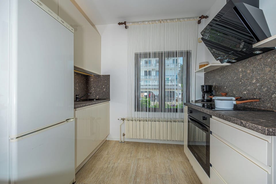 Apartment (A2) | Private kitchen | Fridge, oven, stovetop, dishwasher