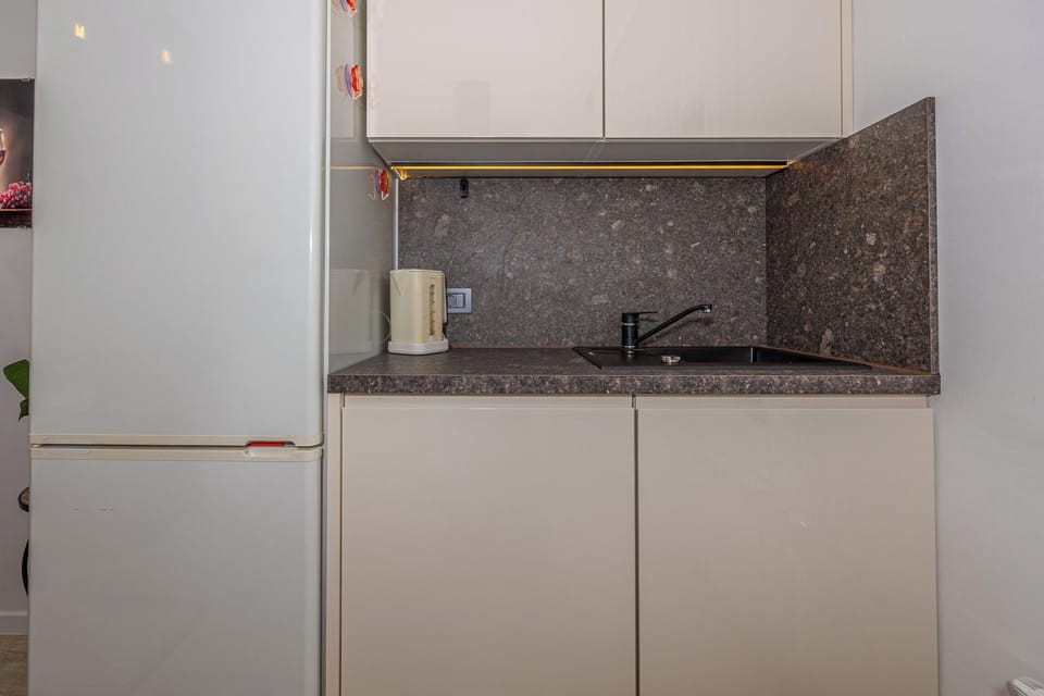 Apartment (A2) | Private kitchen | Fridge, oven, stovetop, dishwasher
