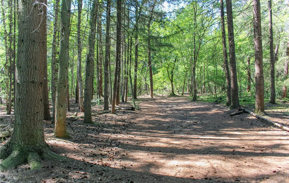 area